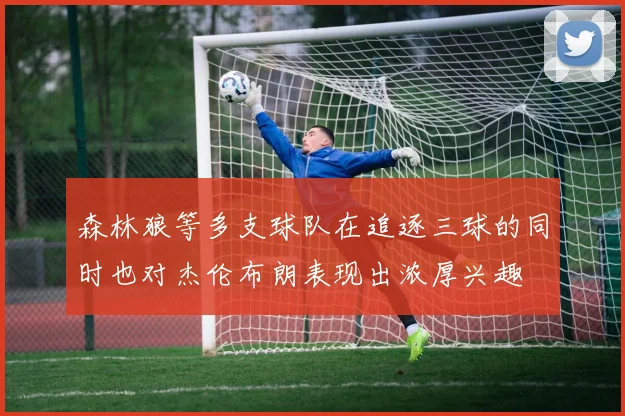 森林狼等多支球队在追逐三球的同时也对杰伦布朗表现出浓厚兴趣