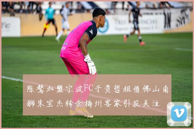 陈骜加盟宁波FC于贵哲租借佛山南狮朱宝杰转会梅州客家引发关注