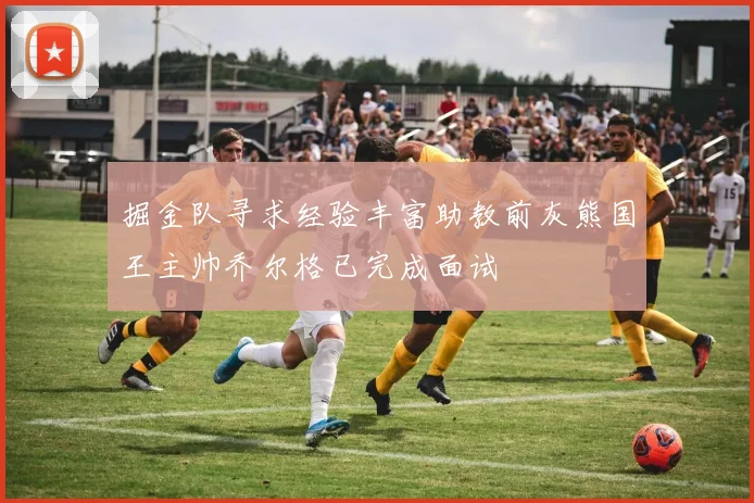 掘金队寻求经验丰富助教前灰熊国王主帅乔尔格已完成面试